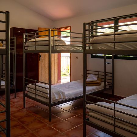 El Cerrao-Paunatura Sot de Chera Extérieur photo